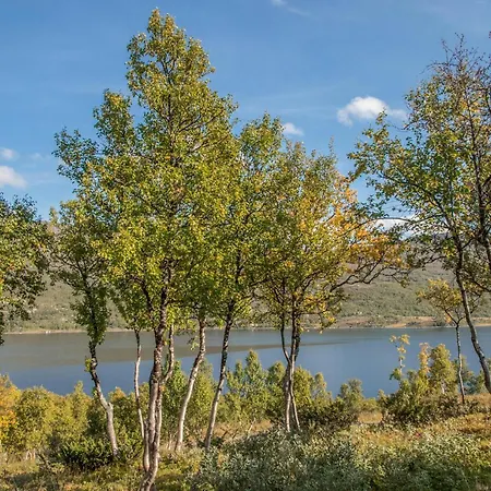 3 Bedroom In Oppdal
