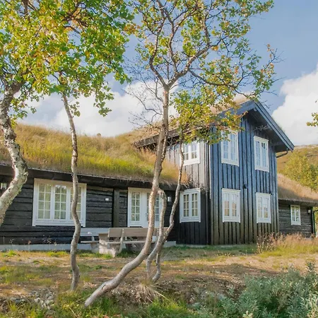 3 Bedroom In Oppdal Holiday home